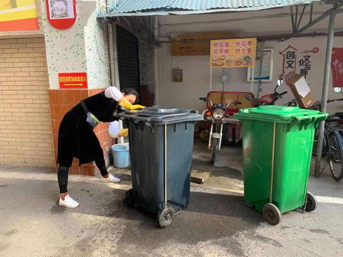 樊城开展环境卫生大扫除 以崭新面貌迎接国庆，推进公共设施安装服务